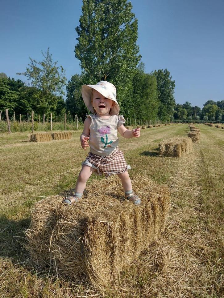Kleine pakjes hooi, Dieren en Toebehoren, Dierenvoeding, Overige soorten, Ophalen