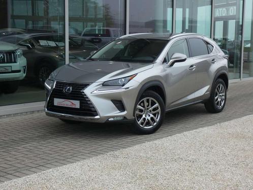 Lexus NX 300h Hybrid AWD Executive Line LEDER +Elektr. koffe, Autos, Lexus, Entreprise, Achat, NX, 4x4, ABS, Caméra de recul, Phares directionnels