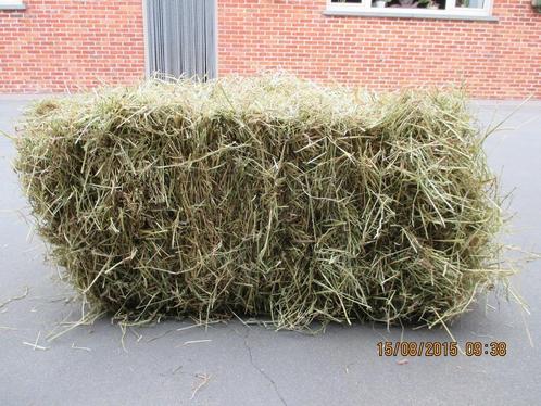 hooi kleine of grote pakken( reserveren ), Dieren en Toebehoren, Dierenvoeding, Ophalen
