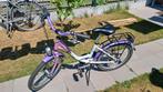 Kinderfiets meisjes 20 inch, Fietsen en Brommers, Ophalen, Zo goed als nieuw, 20 inch