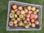Boskoop bio appels, Diversen, Levensmiddelen, Ophalen