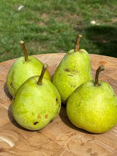 Peer  Dubbel Flip natuurlijk geteeld, Zakelijke goederen, Landbouw | Aardappelen, Groenten, Fruit en Vlees, Ophalen