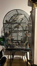 Vogelkooi/papegaai kooi, Ophalen, Zo goed als nieuw, Vogelkooi