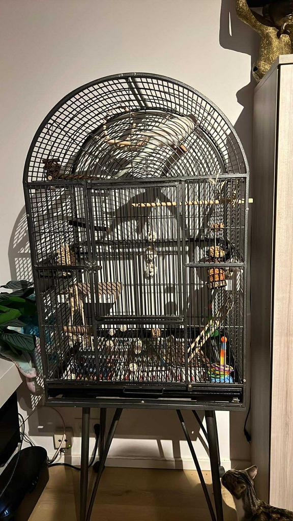 Vogelkooi/papegaai kooi, Dieren en Toebehoren, Vogels | Hokken en Kooien, Zo goed als nieuw, Vogelkooi, Ophalen