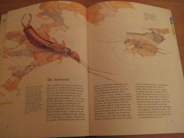 Leerrijk boek ”Dieren in en om het huis” beschikbaar voor biedingen