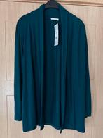 Cardigan avec étiquette Cache Cache taille XS (nr6562), Enlèvement ou Envoi, Pull ou Veste, Vert, Taille 34 (XS) ou plus petite