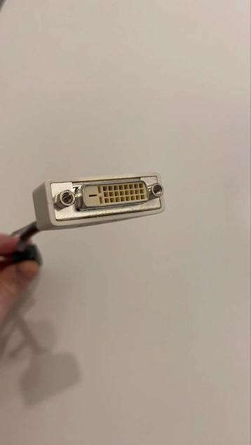 DVI naar DisplayPort adapter beschikbaar voor biedingen