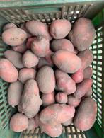 Rode aardappelen, Ophalen, Nieuw