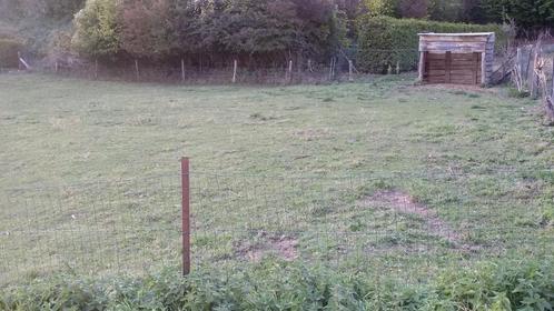 MERLEMONT WEIDE TE HUUR., Dieren en Toebehoren, Stalling en Weidegang