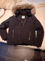 Tommy Hilfiger jas medium slechts eenmaal gedragen, Ophalen of Verzenden, Zo goed als nieuw