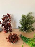 Aquariumplanten (nep), Dieren en Toebehoren, Vissen | Aquaria en Toebehoren, Ophalen, Gebruikt