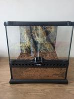 Exo terra terrarium 30x30x30 nieuwstaat 1 maand oud, Ophalen, Nieuw, Terrarium of Paludarium