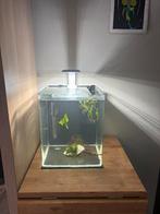 Aquadella aquarium, Ophalen, Zo goed als nieuw