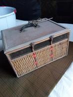 duivenmand, Geslacht onbekend, Postduif