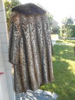 CAPE LÉOPARD, Enlèvement