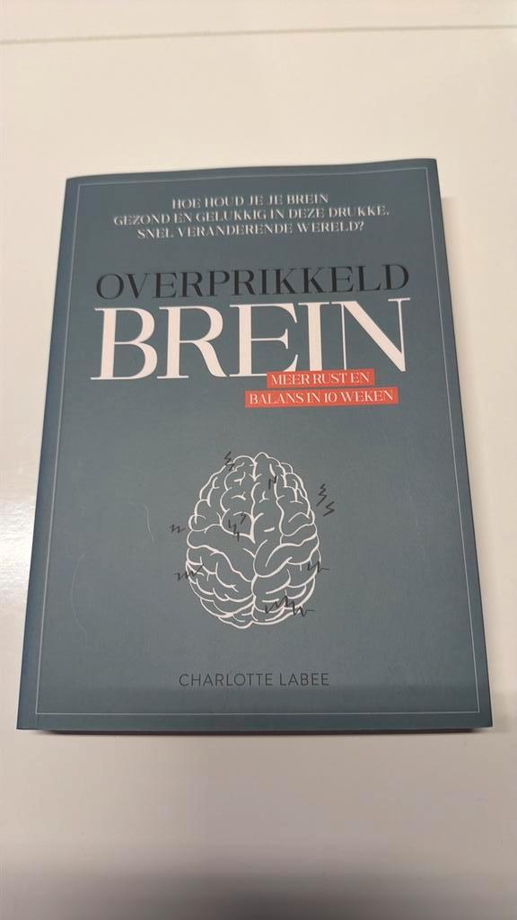 Charlotte Labee - Overprikkeld brein NIEUW, Livres, Psychologie, Neuf, Psychologie du développement, Enlèvement ou Envoi