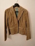 Fluwelen broekpak, Kleding | Dames, Fundamentals, Beige, Maat 42/44 (L), Ophalen of Verzenden