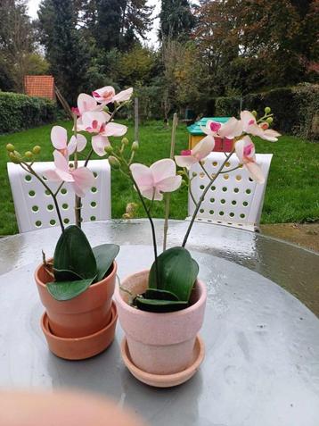 Mooie orchideeën van kunstmatige stof met pot en schotel beschikbaar voor biedingen