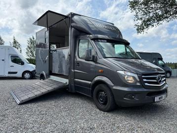 LUXE MERCEDES SPRINTER TVW PAARDENWAGEN 2014 / MARGE WAGEN beschikbaar voor biedingen