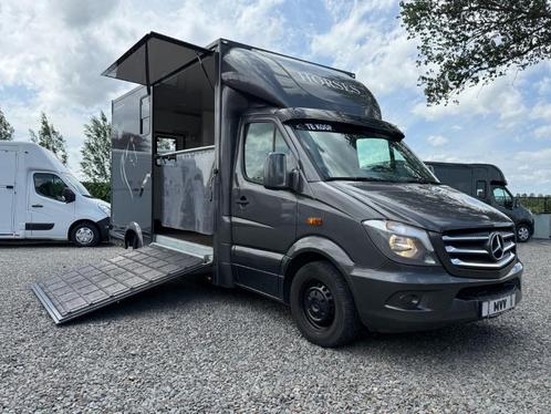 LUXE MERCEDES SPRINTER TVW PAARDENWAGEN 2014 / MARGE WAGEN, Dieren en Toebehoren, Paarden en Pony's | Trailers en Aanhangwagens