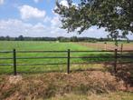 PAARDEWEIDE, Dieren en Toebehoren, Stalling en Weidegang, 2 of 3 paarden of pony's