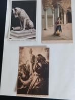 Cartes postales illustrées anciennes vintage., Collections, Cartes postales | Animaux, Non affranchie