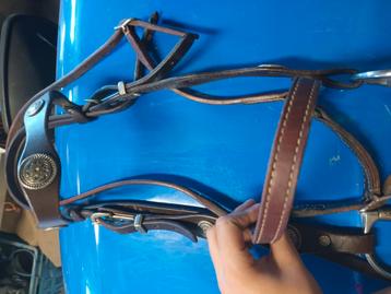 Western hoofdstel van Pioneer beschikbaar voor biedingen