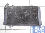 Radiateur Honda CBR1000F 1993 - 2000 CBR 1000 F koeler radia, Motoren, Gebruikt