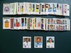 Panini football 1973-74 stickers Belgisch voetbal 1974 x 600, Verzamelen, Ophalen of Verzenden, Gebruikt