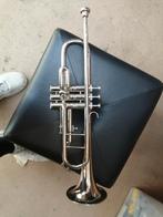 Trompette Amati kraslice, Muziek en Instrumenten, Ophalen