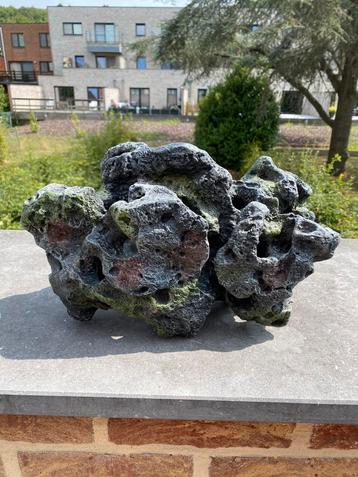 Aquarium decoratie beschikbaar voor biedingen
