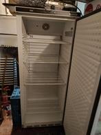 Frigo professionnel pour horica, Electroménager, Comme neuf, Enlèvement ou Envoi