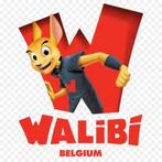 2 Walibi Belgium Tickets (geldig t/m 11 november 2024), Tickets & Billets, Deux personnes, Ticket ou Carte d'accès