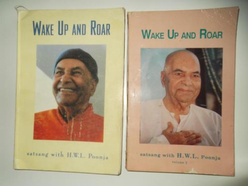 Wake up and roar. Satsang with H.W.L. Poonja, Boeken, Godsdienst en Theologie, Gelezen, Hindoe, Ophalen of Verzenden