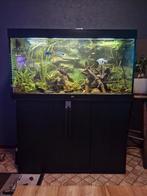Juwel 350l, Dieren en Toebehoren, Ophalen, Gebruikt, Leeg aquarium