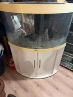 aguarium alles, Enlèvement ou Envoi