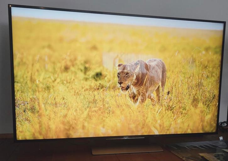 Sony Bravia Premium Luxe Model 55 inch-140CM 100Hz+Muurbeuge, Audio, Tv en Foto, Televisies, Zo goed als nieuw, LED, 4k (UHD)