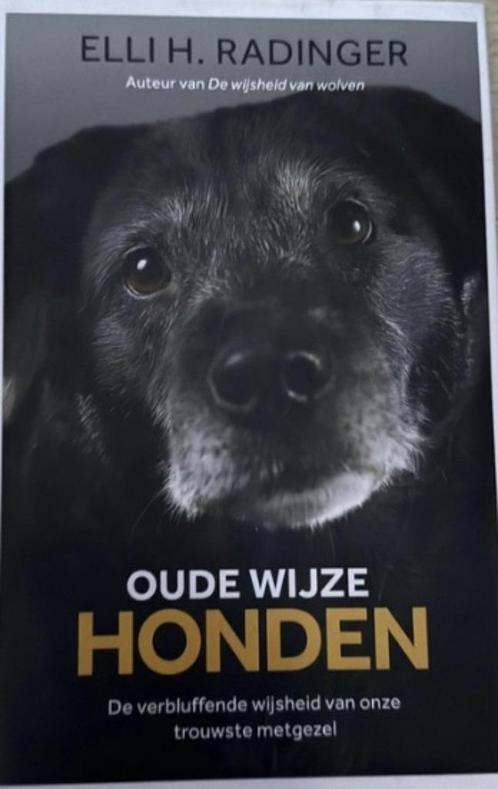 Oude wijze honden, Elli H. Radinger, Boeken, Dieren en Huisdieren, Zo goed als nieuw, Honden, Ophalen of Verzenden