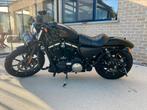 Harley Davidson 883 Strijkijzer, Motoren, 2 cilinders, Chopper, 883 cc, Particulier