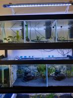 Aquarium stelling met toebehoren., Ophalen, Zo goed als nieuw