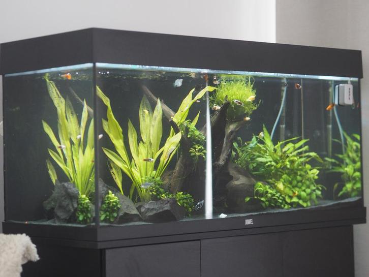 Juwel Rio 180 met Helialux Spectrum, Dieren en Toebehoren, Vissen | Aquaria en Toebehoren, Ophalen