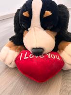 Grote knuffel, Ophalen of Verzenden, Zo goed als nieuw, Hond
