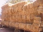 ZELF AFHALEN / LEVEREN / RESERVEREN / STOCKEREN van HOOI