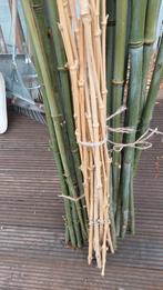 Piquet, Jardin & Terrasse, Plantes | Arbustes & Haies, Enlèvement ou Envoi, Bambou