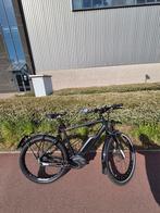 Koga B20 Speed Pedelec, Ophalen, Gebruikt
