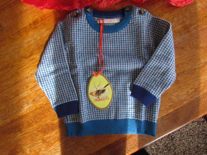 Pull Fred & Ginger 6 mois, Enfants & Bébés, Vêtements de bébé | Taille 68, Neuf, Garçon, Pull ou Veste, Enlèvement ou Envoi