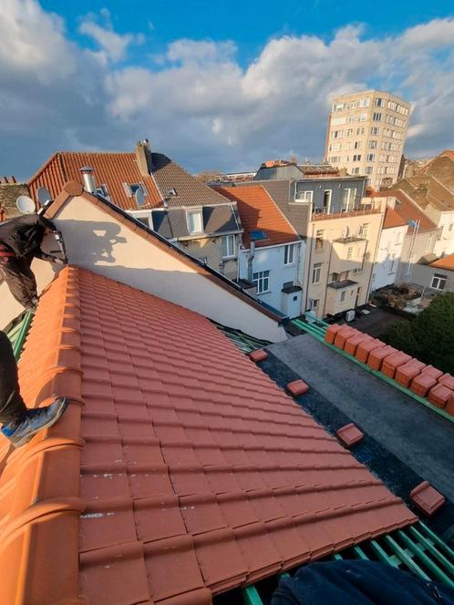 Dakrenovatie, Doe-het-zelf en Bouw, Dakpannen en Dakbedekking, Zo goed als nieuw, Dakpannen, Ophalen