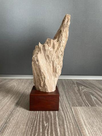 Versteend hout beschikbaar voor biedingen