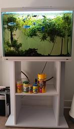 Aquarium superfish 100l+ meuble+ accessoires, Ophalen, Zo goed als nieuw