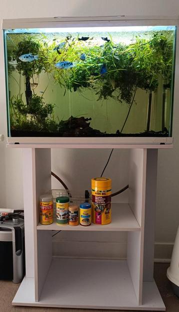 Aquarium superfish 100l+ meuble+ accessoires  beschikbaar voor biedingen